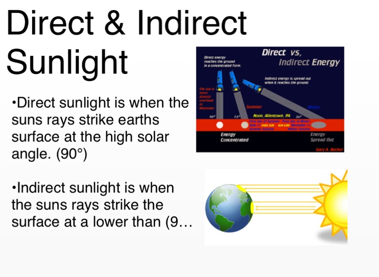 indirect sunlight