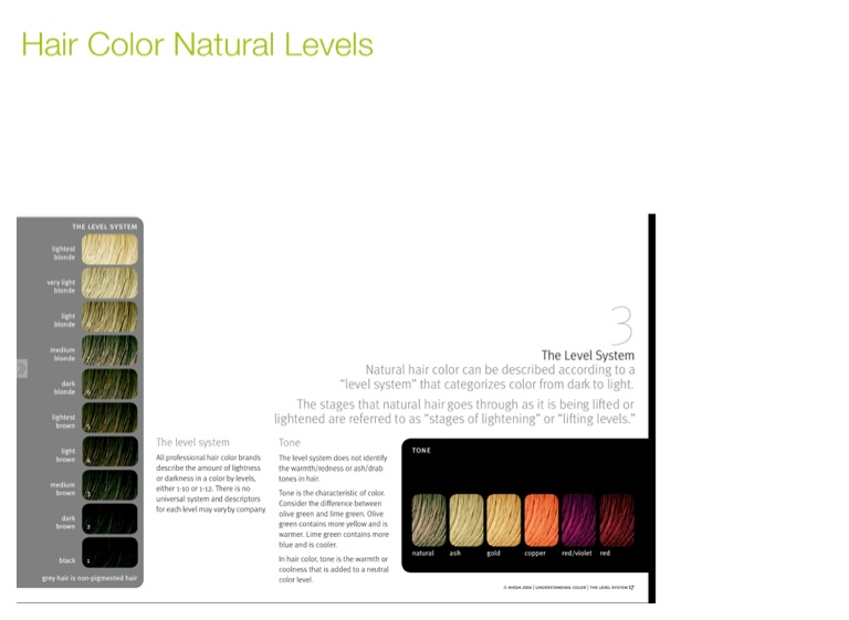 Cosmetology Procedure Cards Part 2 Screen 2 On Flowvella
