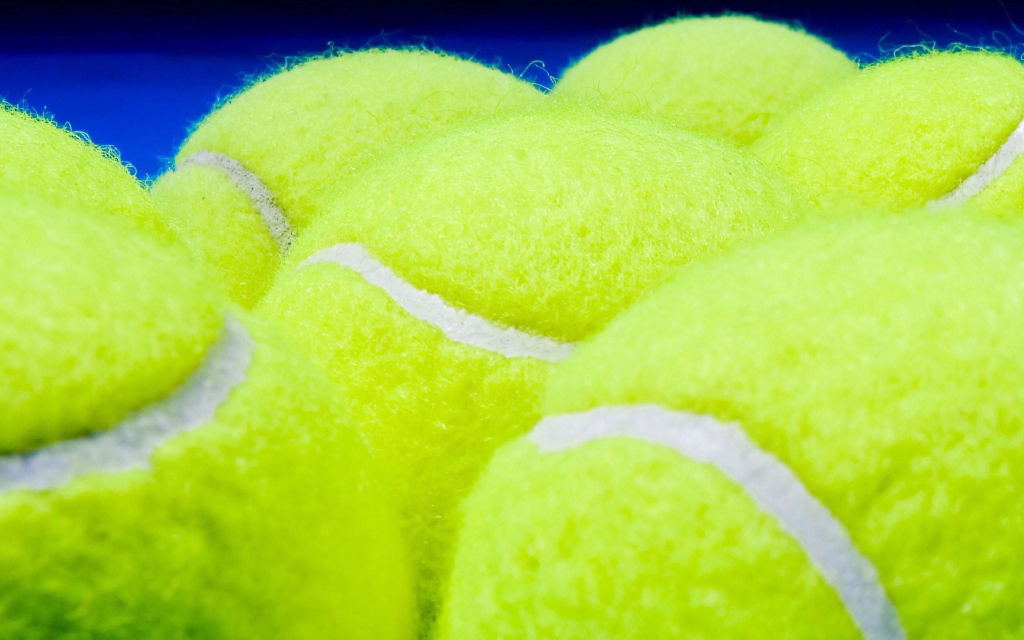 flowvella competitors flowvella competitors