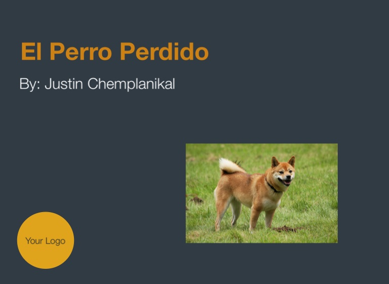 perro-perdido-espa-ol-latino-online-descargar-1080p