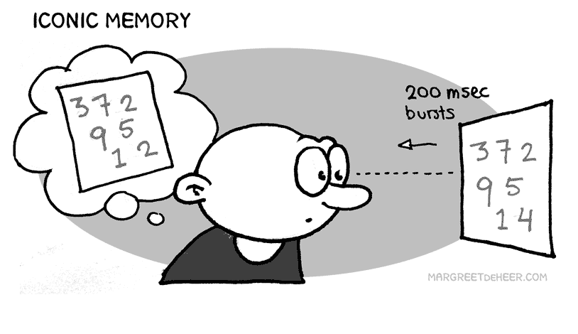 Examples of Iconic Memory