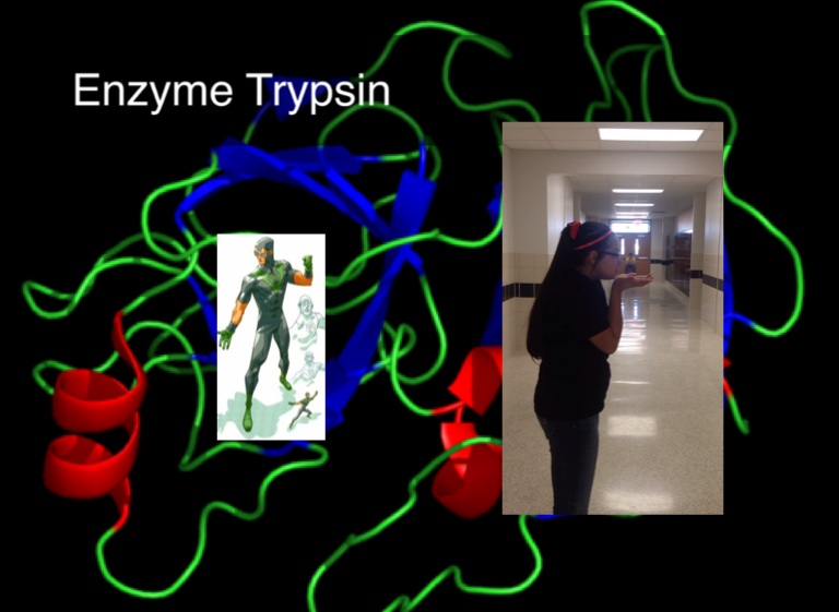 enzyme torrent mac