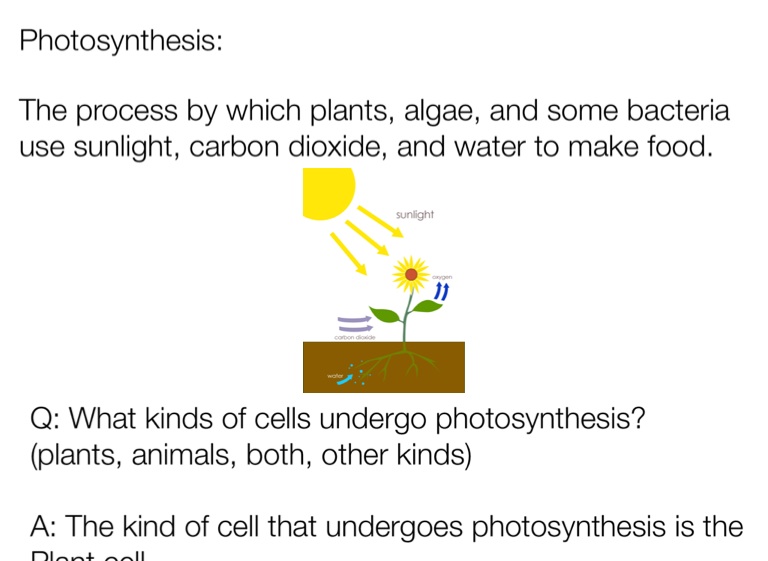 Photosynthesis  Cellular Respiration On Flowvella - Presentation 