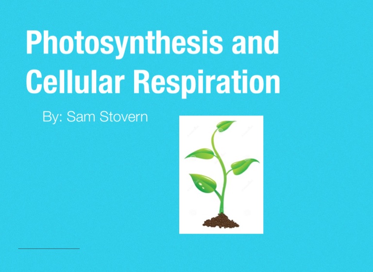 Photosynthesis and Cellular Respiration on FlowVella - Presentation ...