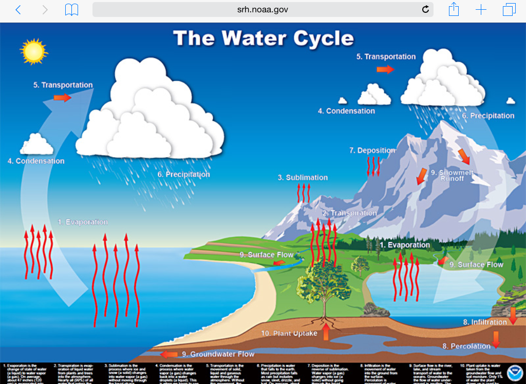 water cycle project