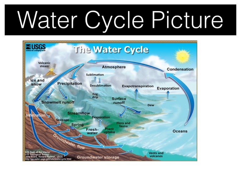 Water Cycle Presentation - Screen 10 on FlowVella - Presentation ...