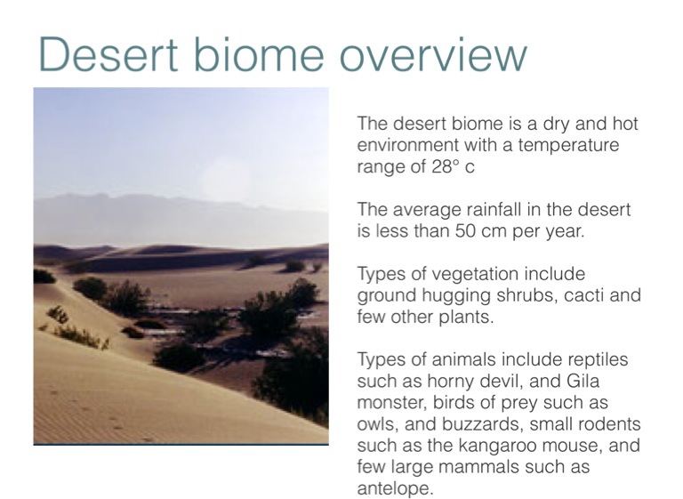 Desert biome - Screen 2 on FlowVella - Presentation Software for Mac ...