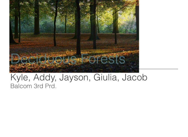 Deciduous Forests Balcom 3rd Prd Screen 5 On Flowvella Presentation Software For Mac Ipad