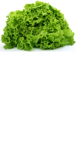 Салат овощи калорийность на 100. Салат листовой ккал. Калории в листьях салата. Калории в зеленом листе салата. Овощной салат калории.