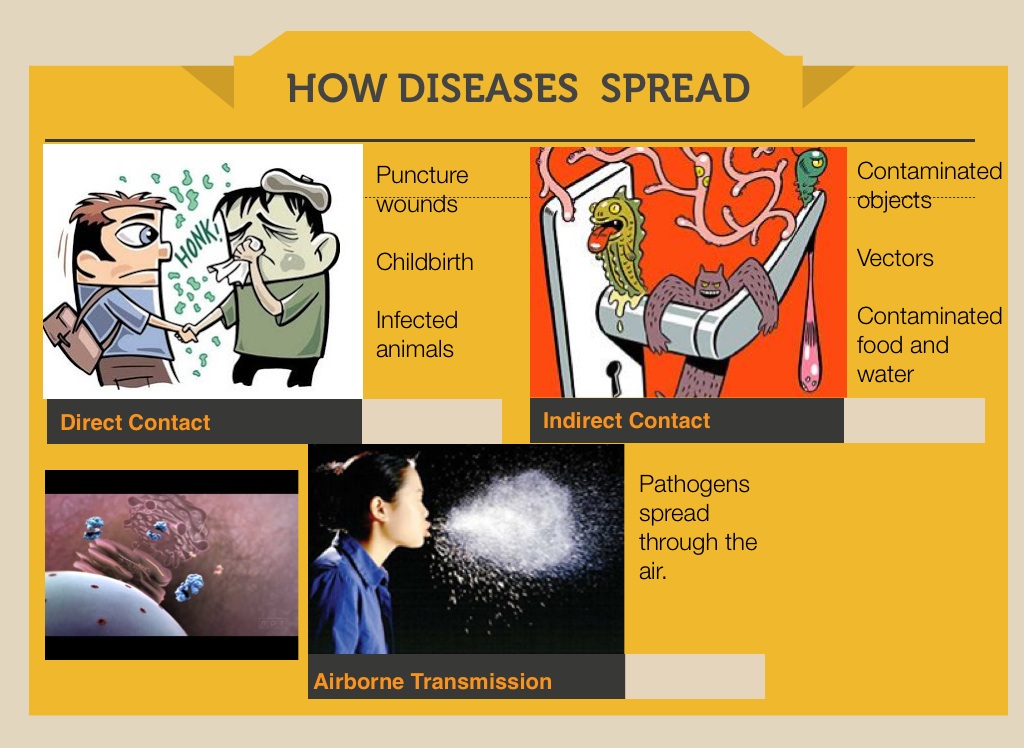 Communicable Diseases - Screen 2 on FlowVella - Presentation Software