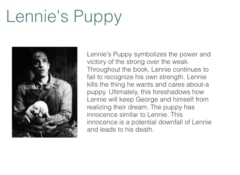 how does lennie feel about killing the puppy