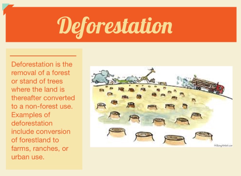 Animals in danger of extinction - Screen 2 on FlowVella - Presentation ...