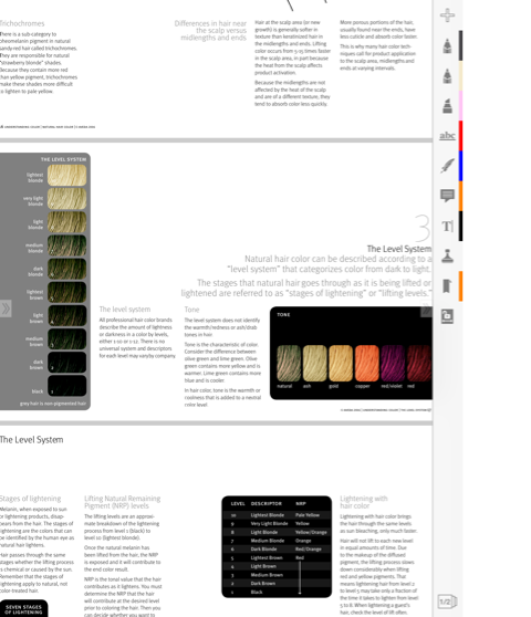 Procedure Cards P 2 On Flowvella Presentation Software For Mac