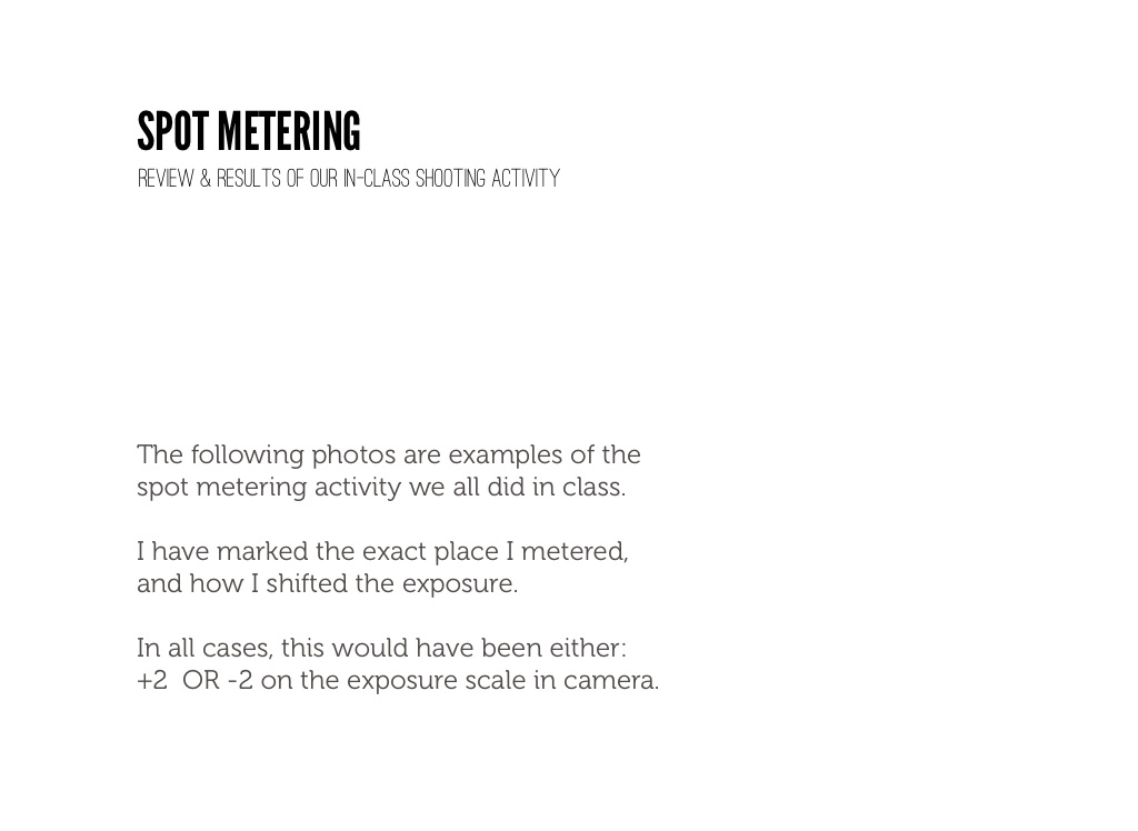 Spot Metering Examples from in the Field on FlowVella Presentation