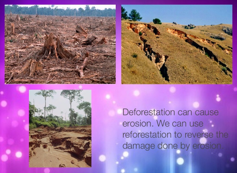 The Benefits of Reforestation - Screen 4 on FlowVella - Presentation ...