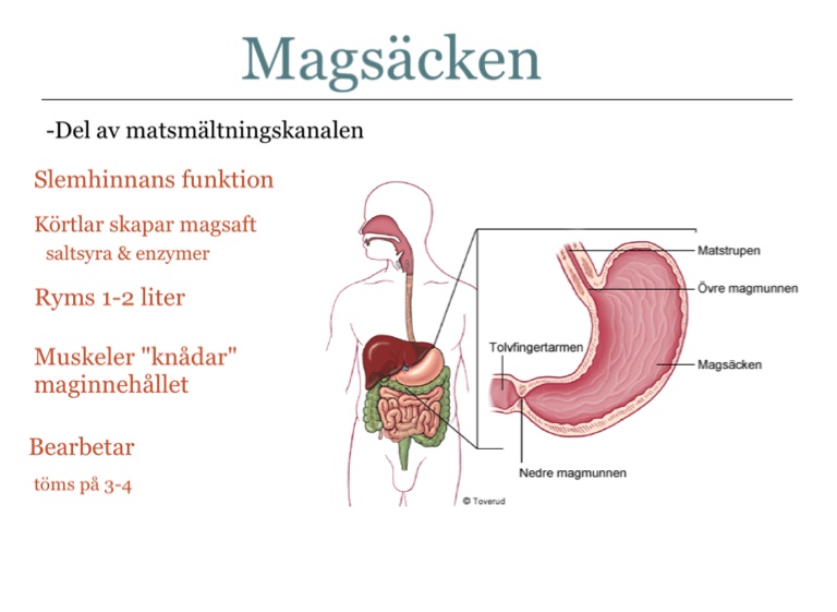 Magsäcken on FlowVella - Presentation Software for Mac iPad and iPhone