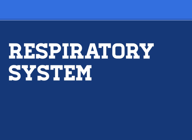 The Respiratory System On Flowvella