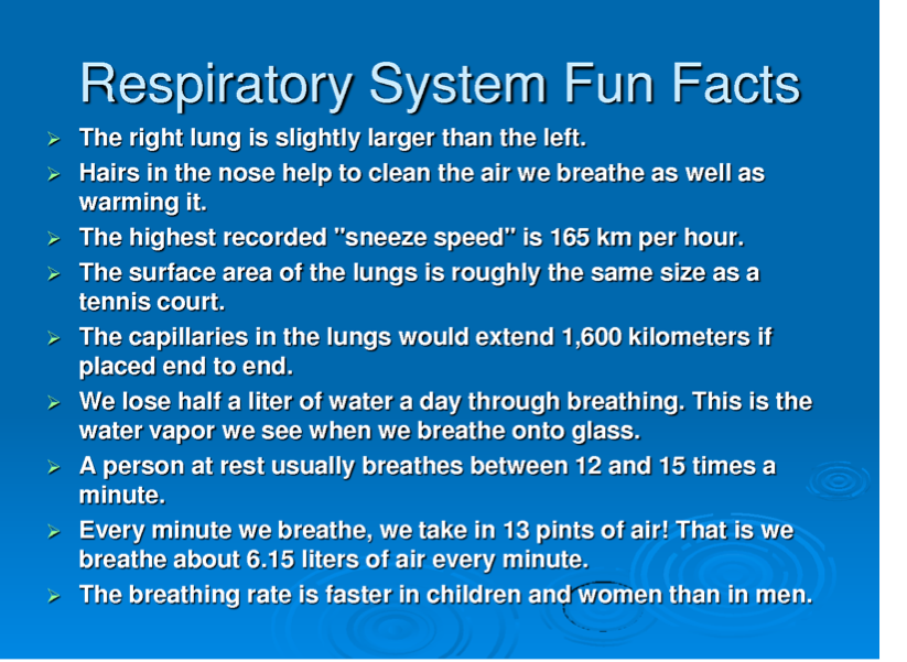 What Are 4 Functions Of The Respiratory System