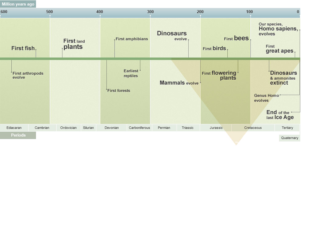 Million years ago текст. Recent History. Timeline of Earth. History of Life on Earth. Timelines of the Life.