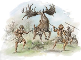 Irish Elk On Flowvella