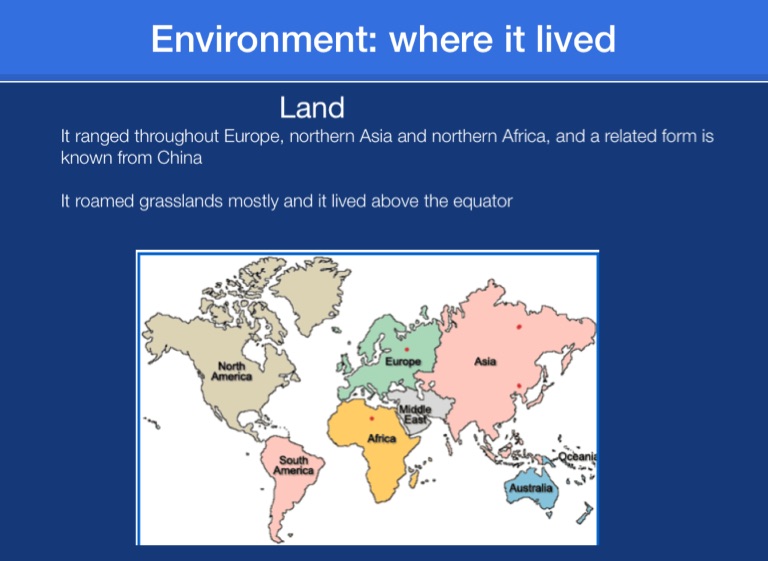 Irish elk extinct - Screen 4 on FlowVella - Presentation Software for ...