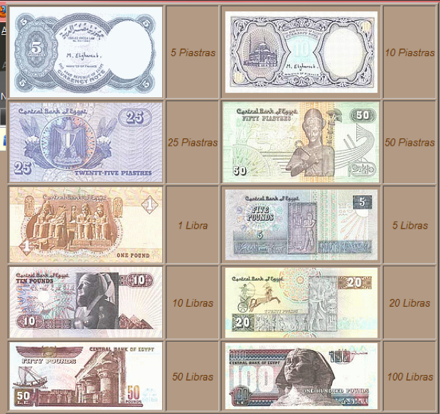 Перевод египетских фунтов. Египетский фунт номиналы. Современные египетские деньги. Номинал валюты Египта. Денежный номинал Египетский фунт.
