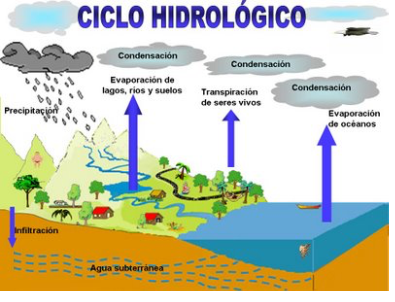 El Agua On Flowvella