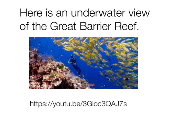 The Great Barrier Reef- Tourists attractions - Screen 7 on FlowVella ...