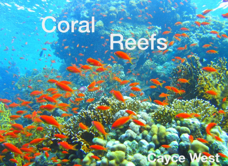 Coral Reefs on FlowVella - Presentation Software for Mac iPad and iPhone