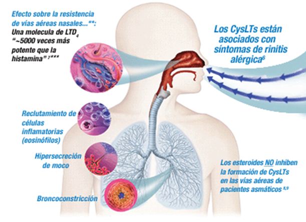 Flowvella