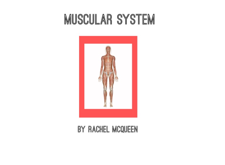 muscle system pro iii for mac