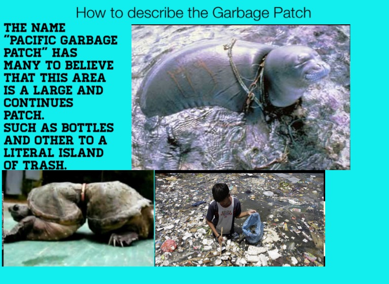 Garbage patch Screen 3 on FlowVella Presentation Software for Mac