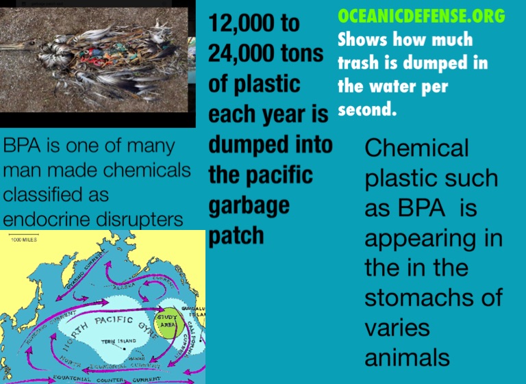 Garbage patch Screen 4 on FlowVella Presentation Software for Mac