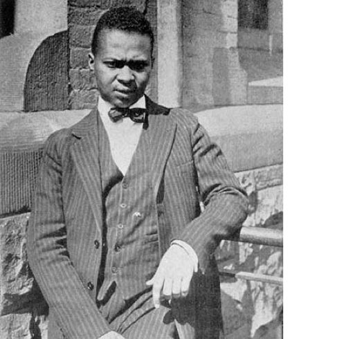 Countee Cullen Screen 3 On Flowvella Presentation Software For Mac