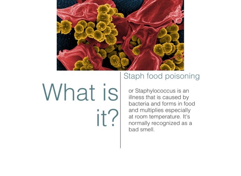 Staph Food Poisoning Screen 2 on FlowVella Presentation Software