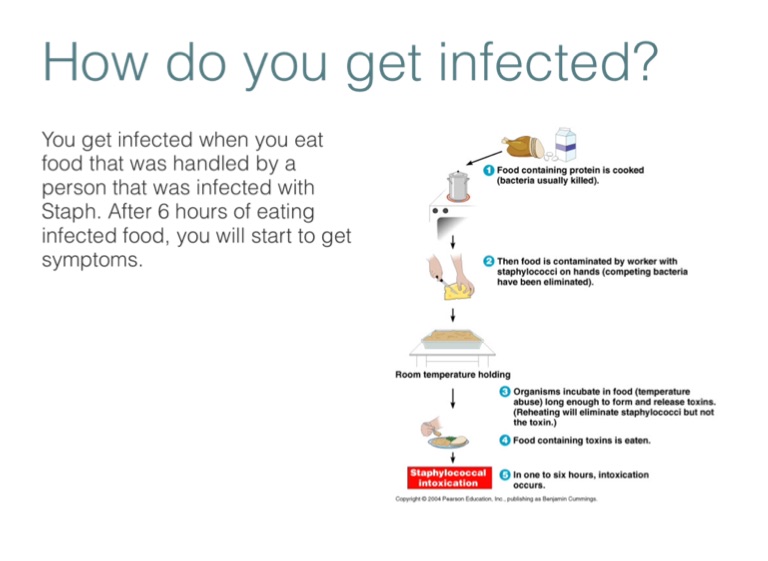 Staph Food Poisoning Screen 3 on FlowVella Presentation Software