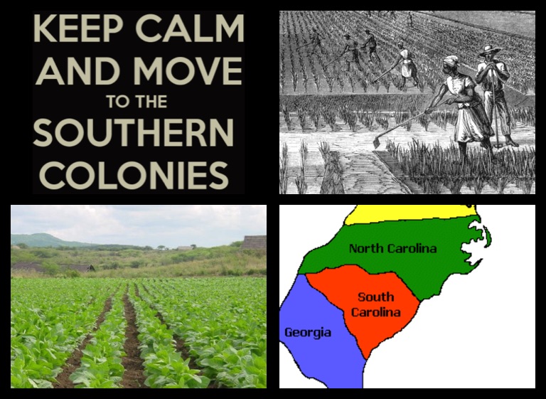 The Southern Colonies Screen 2 On FlowVella Presentation Software   ContentItem 7942880 68310812 J8gp3olq2lvh1 Or 