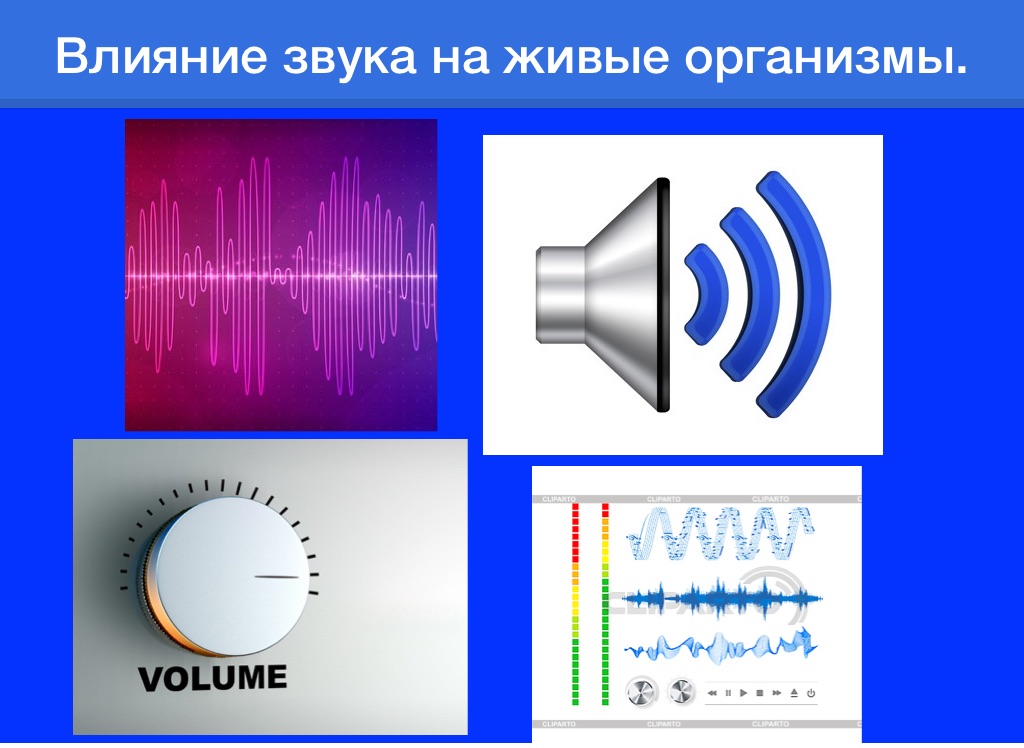 Влияние звуков на человека презентация