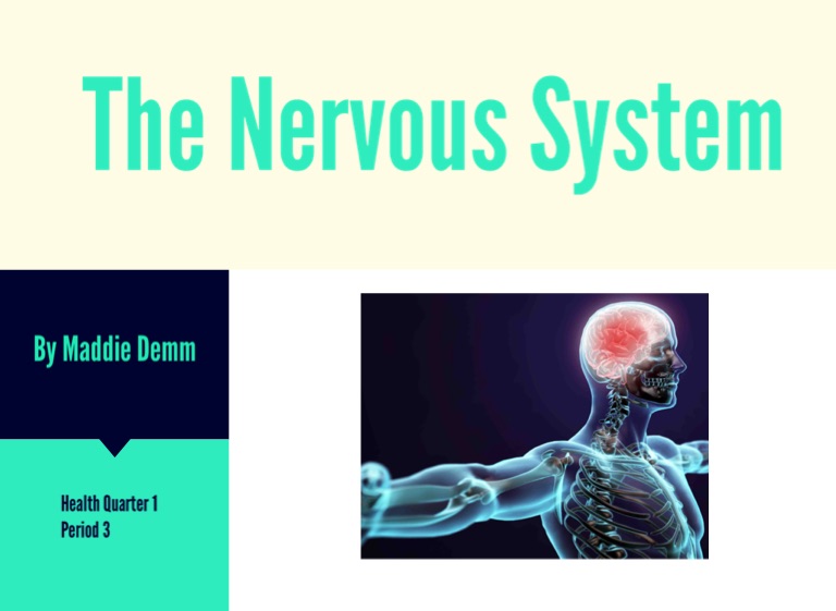 The Nervous System on FlowVella - Presentation Software for Mac iPad