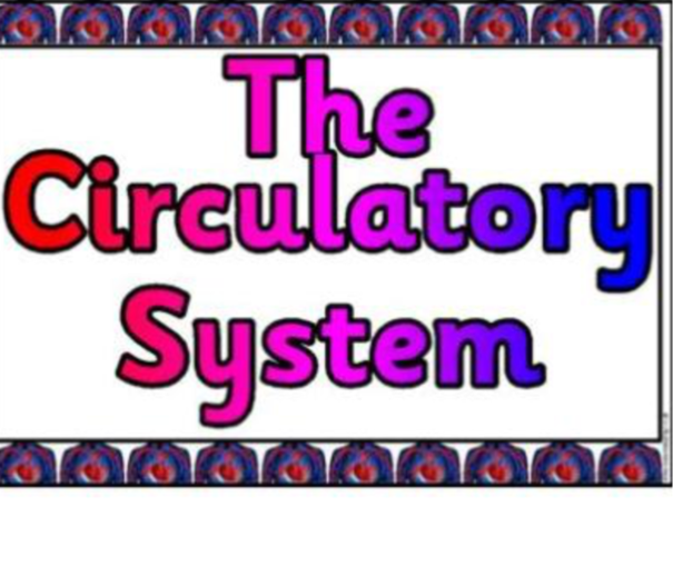 Circulatory System ️💉 Screen 3 On Flowvella Presentation Software For Mac Ipad And Iphone 5877