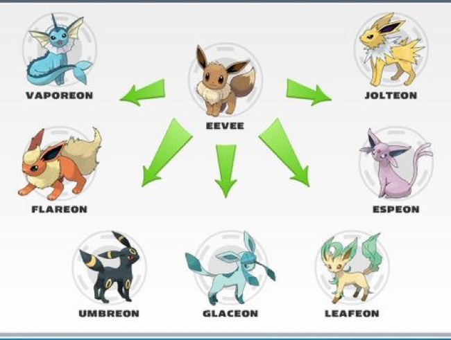 Vaporeon is a water type that Eevee can evolve into by using a Waterstone…