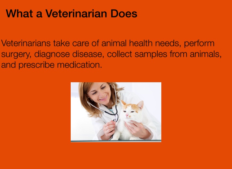 Veterinarian presentation copy - Screen 2 on FlowVella - Presentation ...