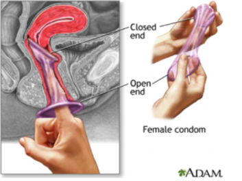 womans Deep vagina