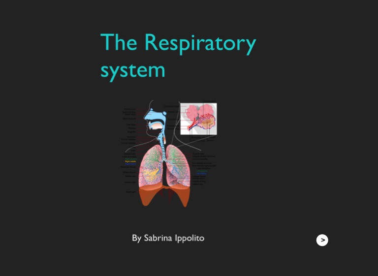 Untitled On FlowVella - Presentation Software For Mac IPad And IPhone