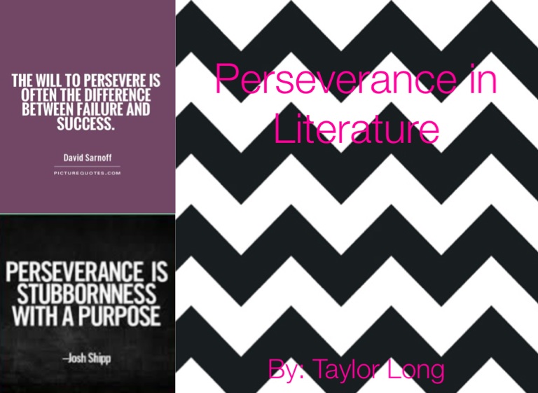 Perseverance essays