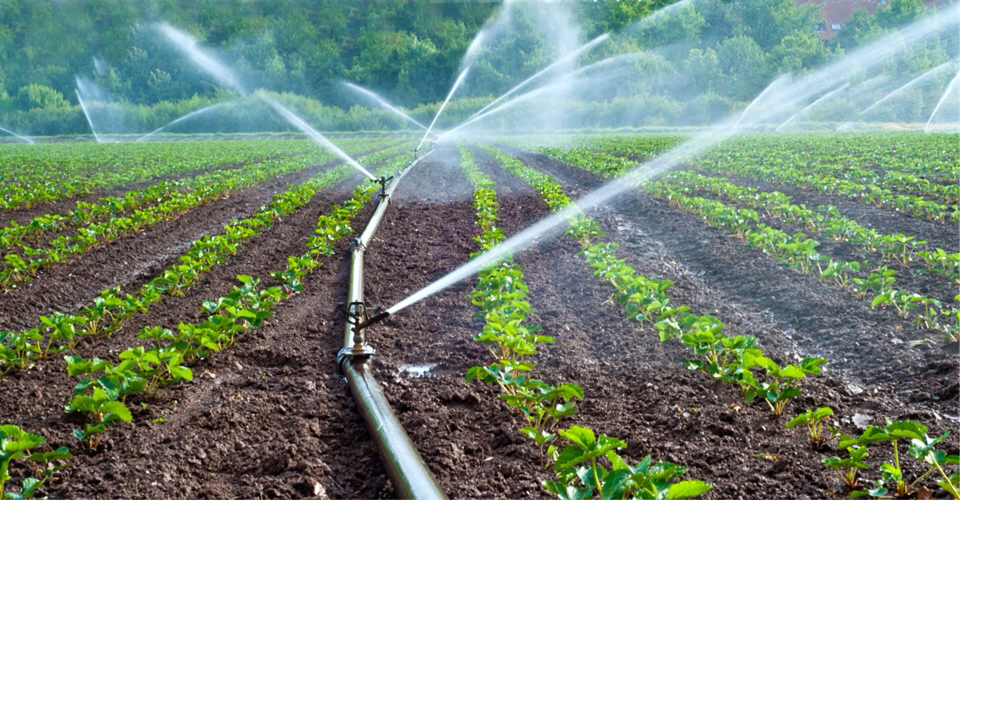 Water irrigation on FlowVella Presentation Software for Mac iPad and