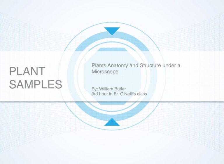 Science plant anatomy for mac